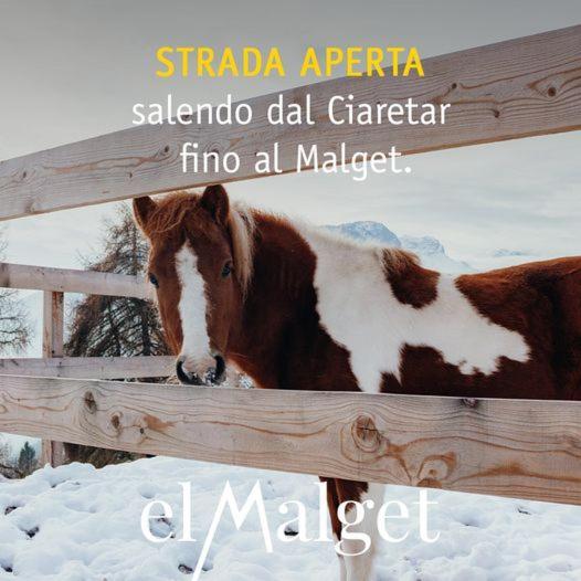 El Malget Vila Tuenno Exterior foto
